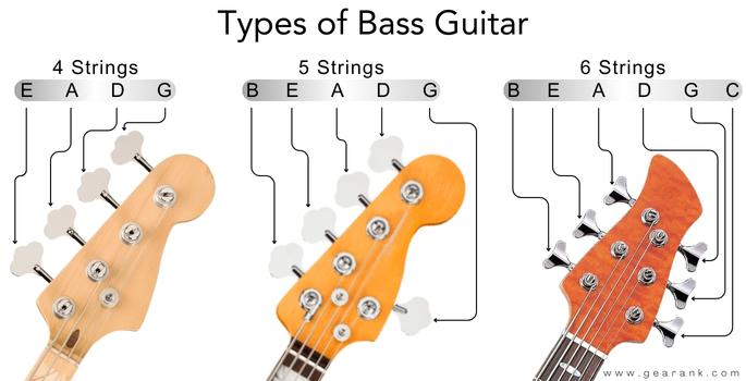 Types of Bass