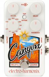 Electro-Harmonix Canyon Digital Delay and Looper Pedal